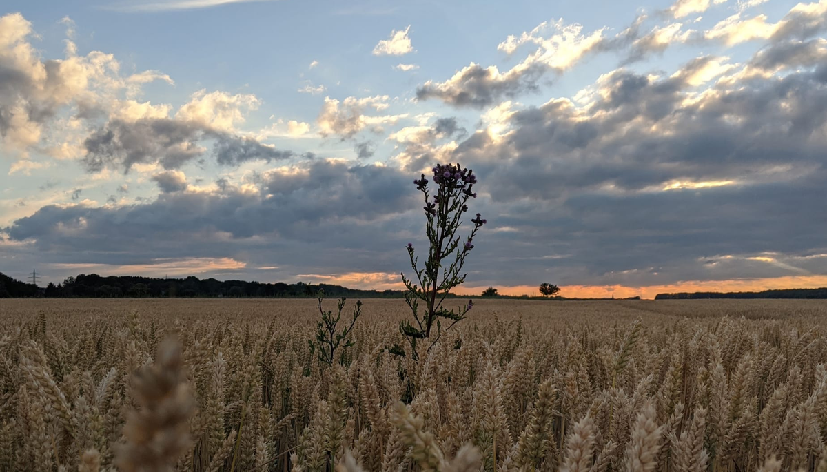 Goodbye, Einheitsbrei.