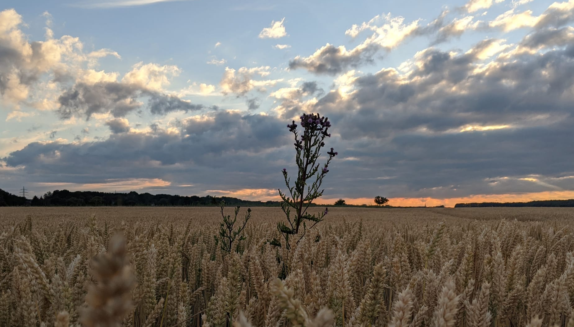 Goodbye, Einheitsbrei.